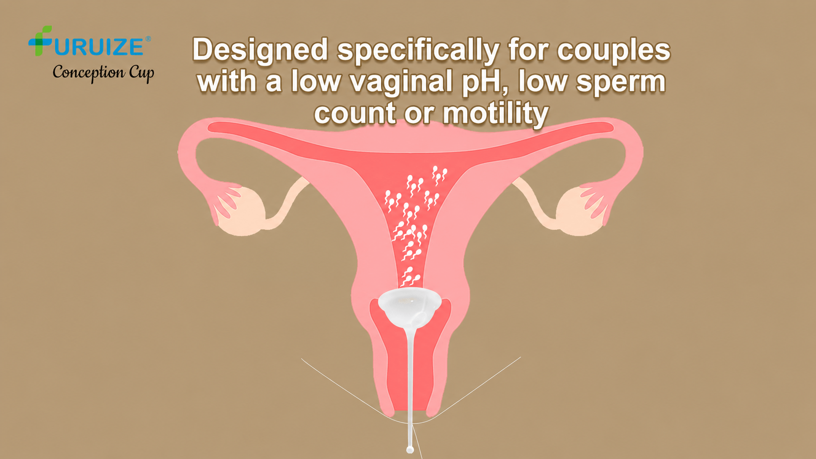 Fertility Conception Cup OEM Guide — Medical-Grade Silicone, Certifications, and Private Label